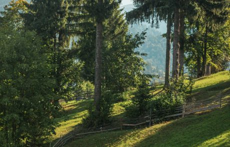 Transair Travel | travel & events