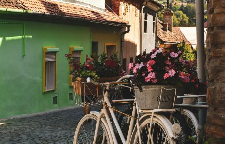 Transair Travel | travel & events