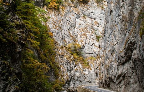 Transair Travel | travel & events