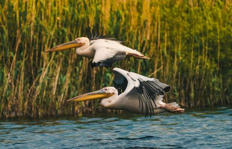 Transair Travel | travel & events